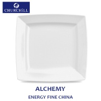 Click for a bigger picture.9.25"(23.3Cm) Energy Square Plate